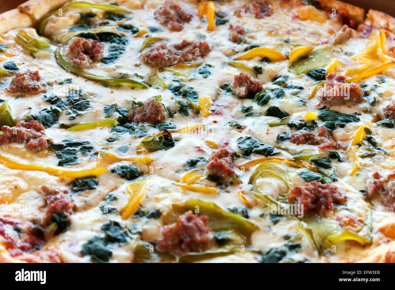 Spezielle Kombination Pizza Stockfoto