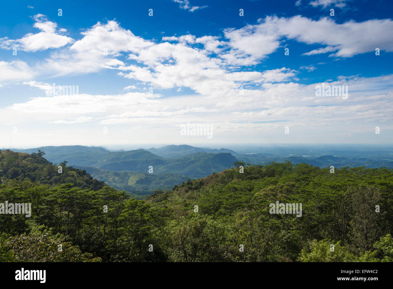 Blick auf Berge und Teeplantagen von Melheim Resort, Haputale, Uva Provinz, Sri Lanka. Stockfoto