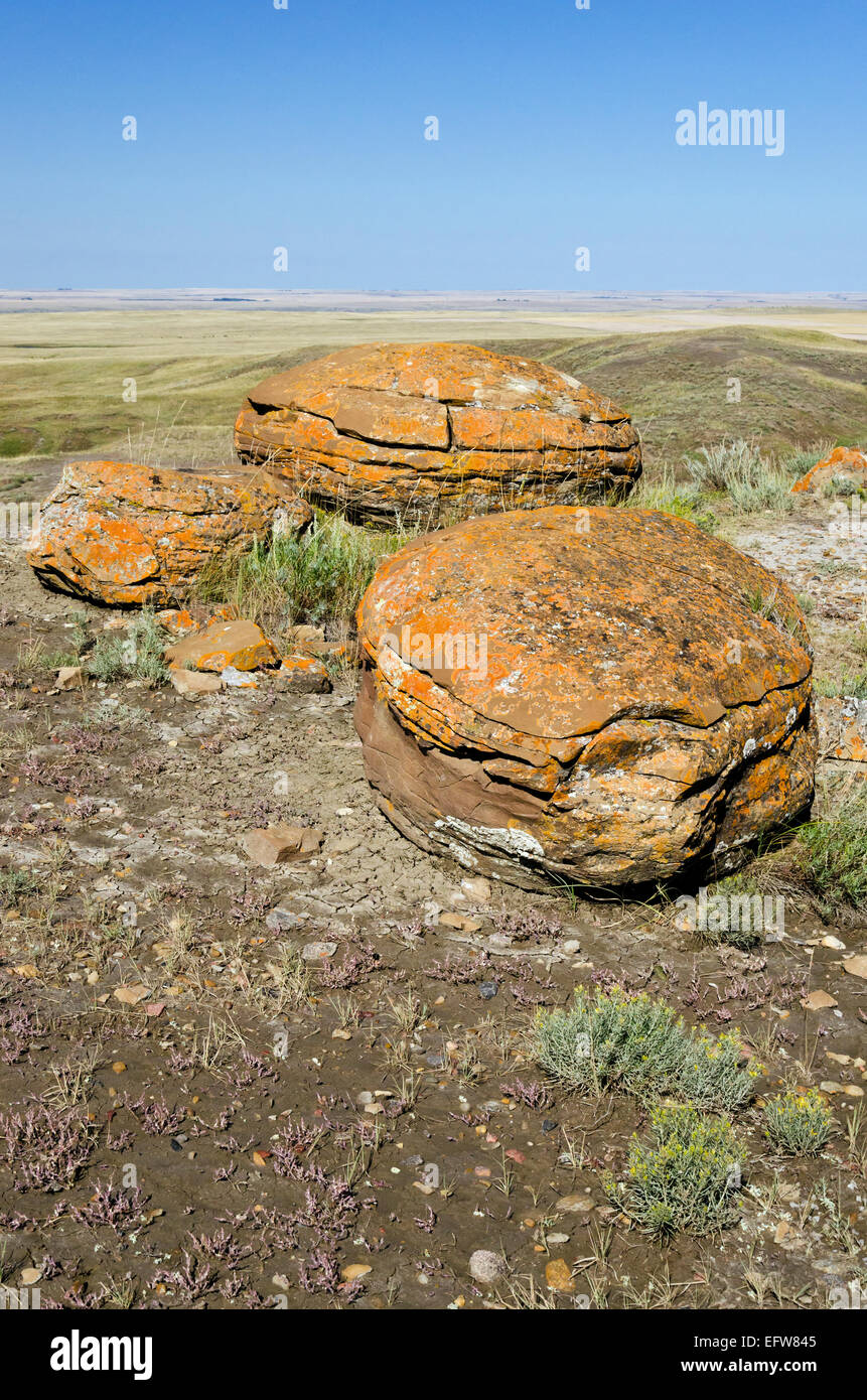 Drei kugelförmigen Sandstein Konkretionen im Red Rock Coulee Provincial Park in der Nähe von Medicine Hat, im Süden von Alberta, Kanada. Stockfoto