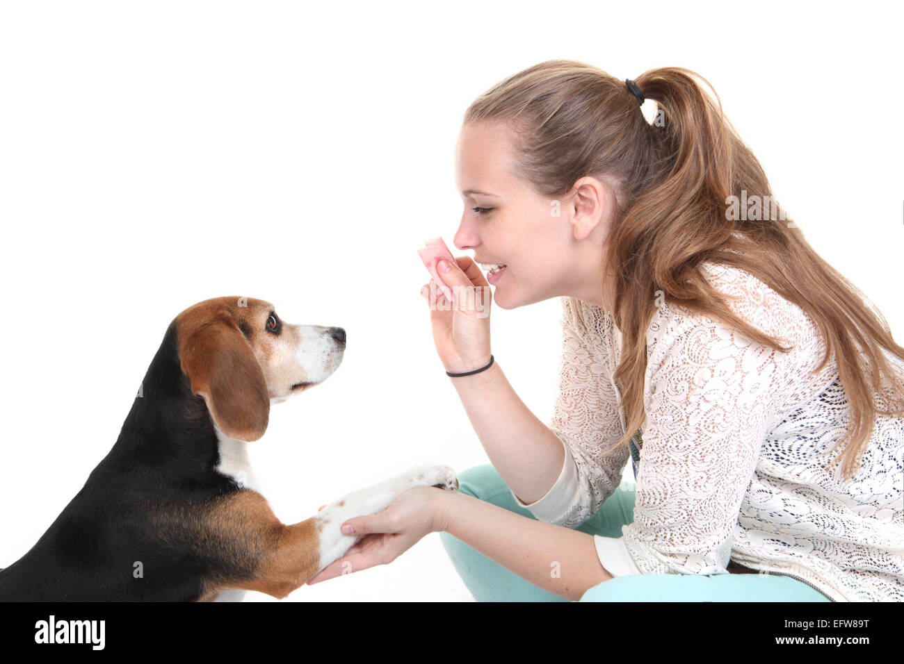 Hund Gehorsam Ausbildung Trainer mit Haustier. Stockfoto