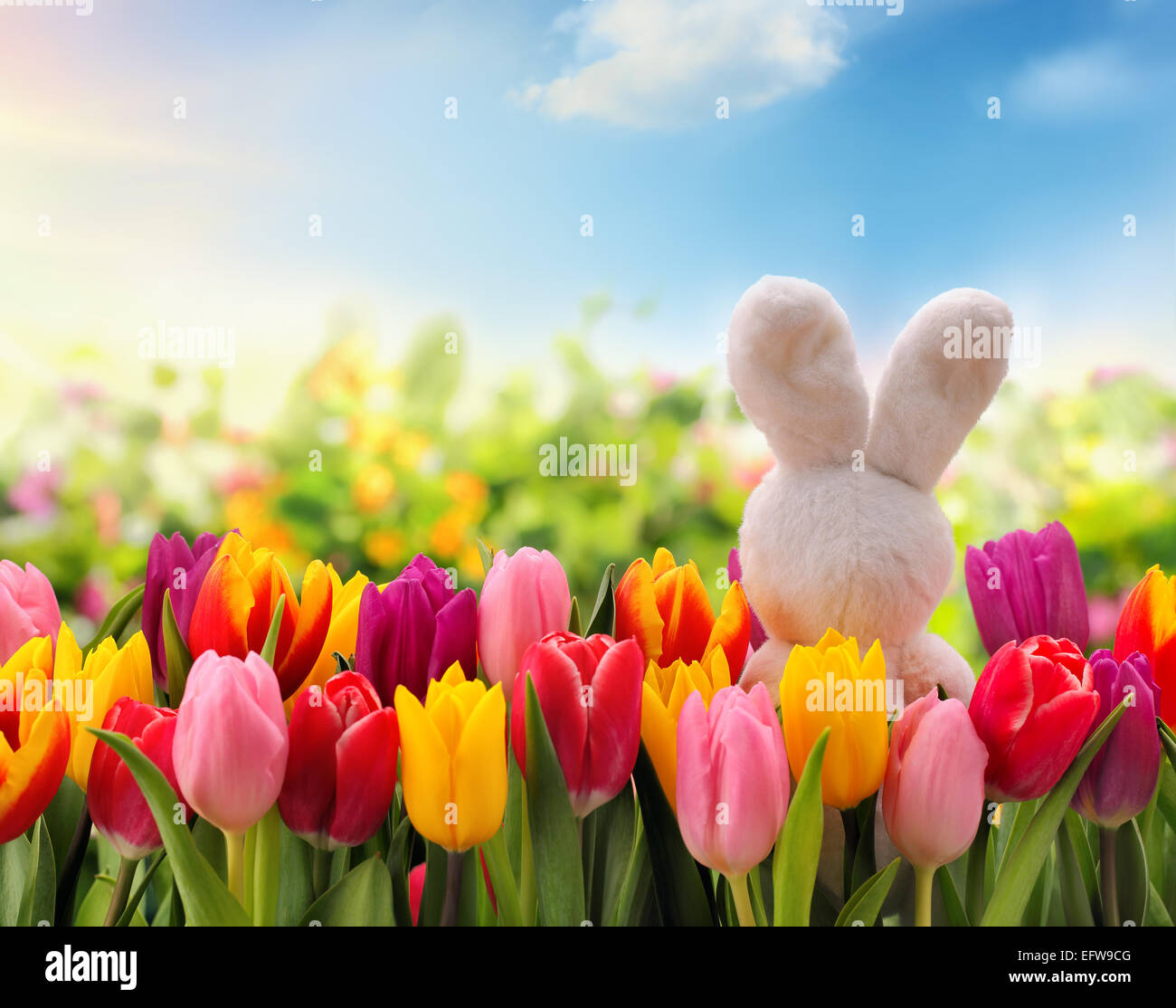 Oster-Deko mit Kaninchen und Tulpe Blume. Stockfoto