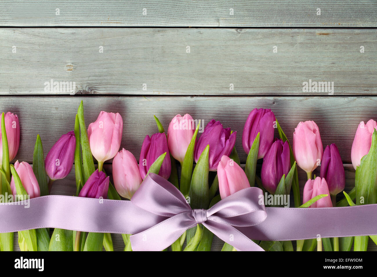 Tulpen mit einem Bogen auf hölzernen Hintergrund Stockfoto