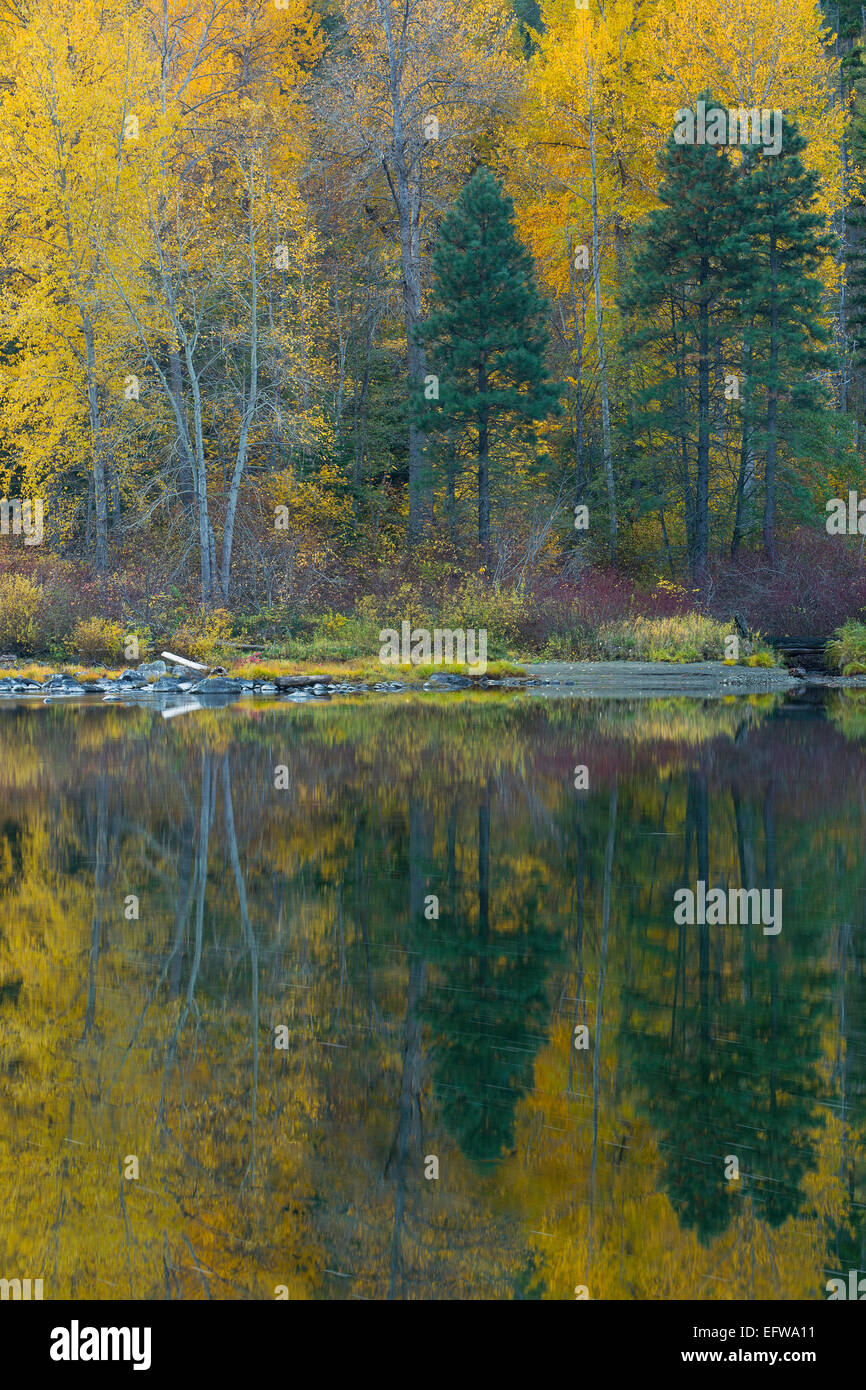 Herbstfarben in der Nähe der Swiftwater Damm in der Nähe von Leavenworth, Washington. USA Stockfoto