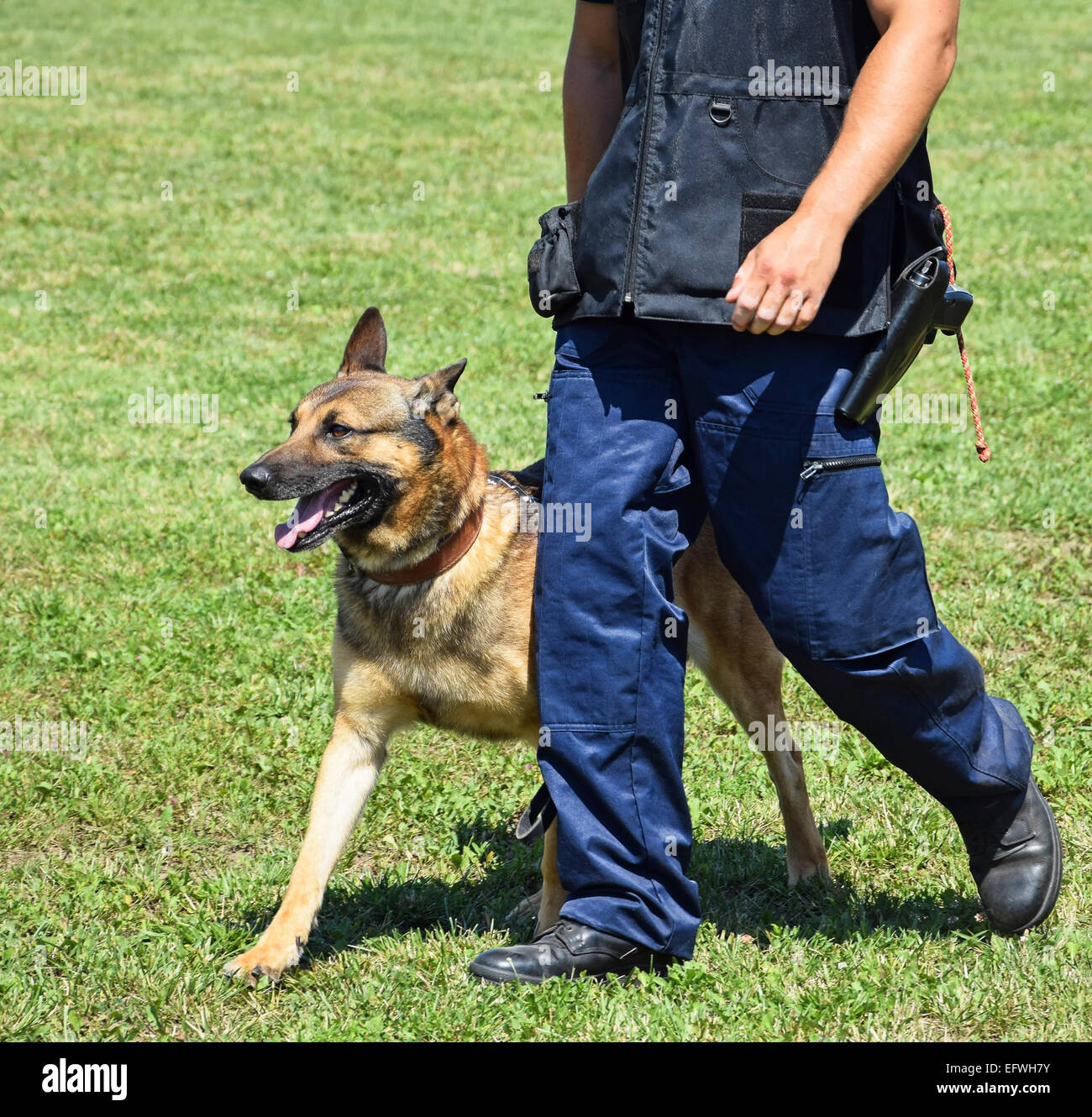 Polizist mit einem Schäferhund-Hund Stockfoto