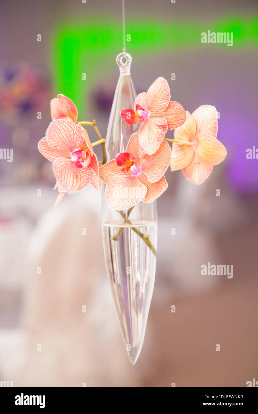 Nahaufnahme von bunten und frischen Hochzeitsblumen Stockfoto