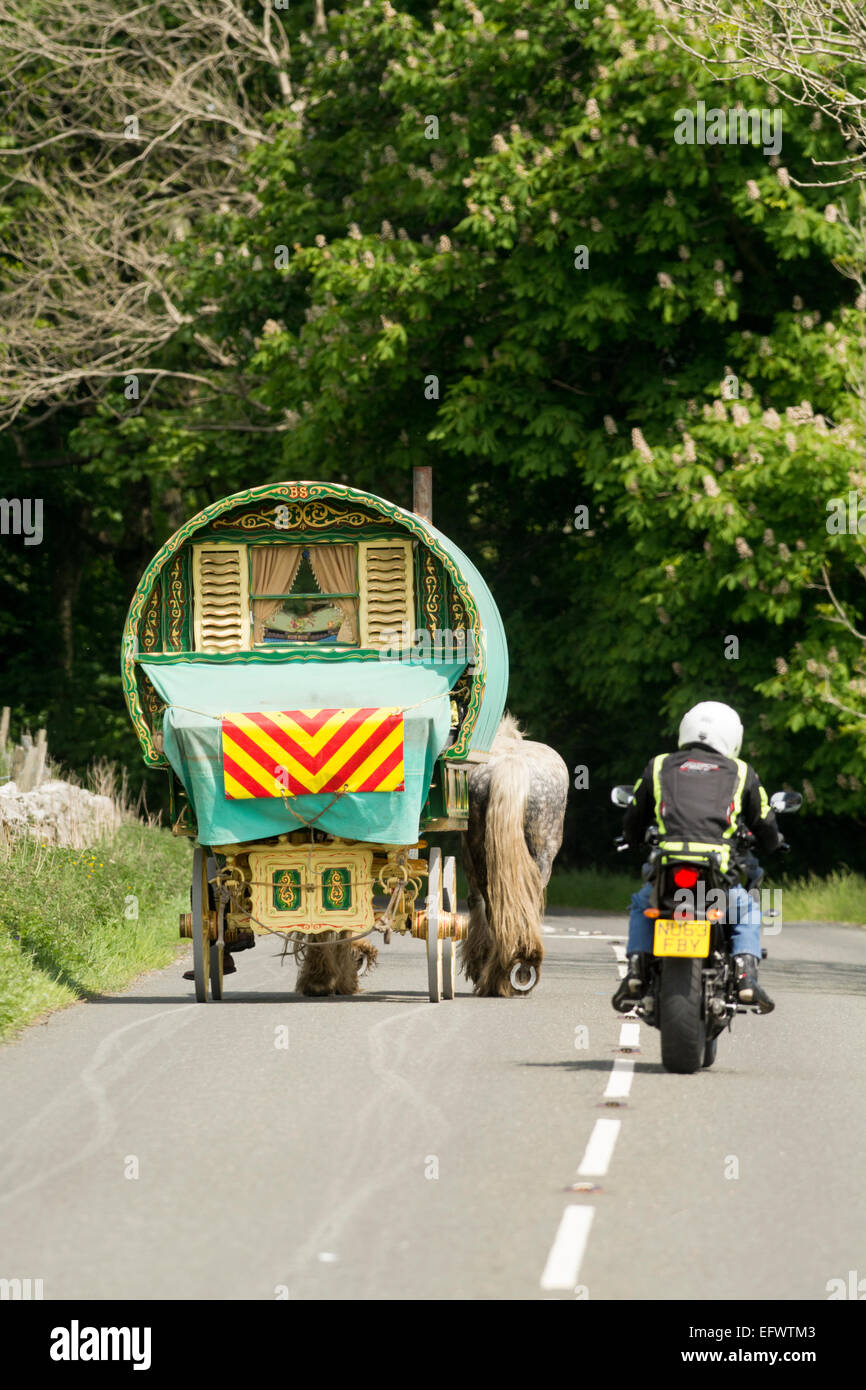 Motorradfahrer überholt von einem Pferd gezogenen Wohnwagen auf einer Landstraße, Cumbria, England. Stockfoto