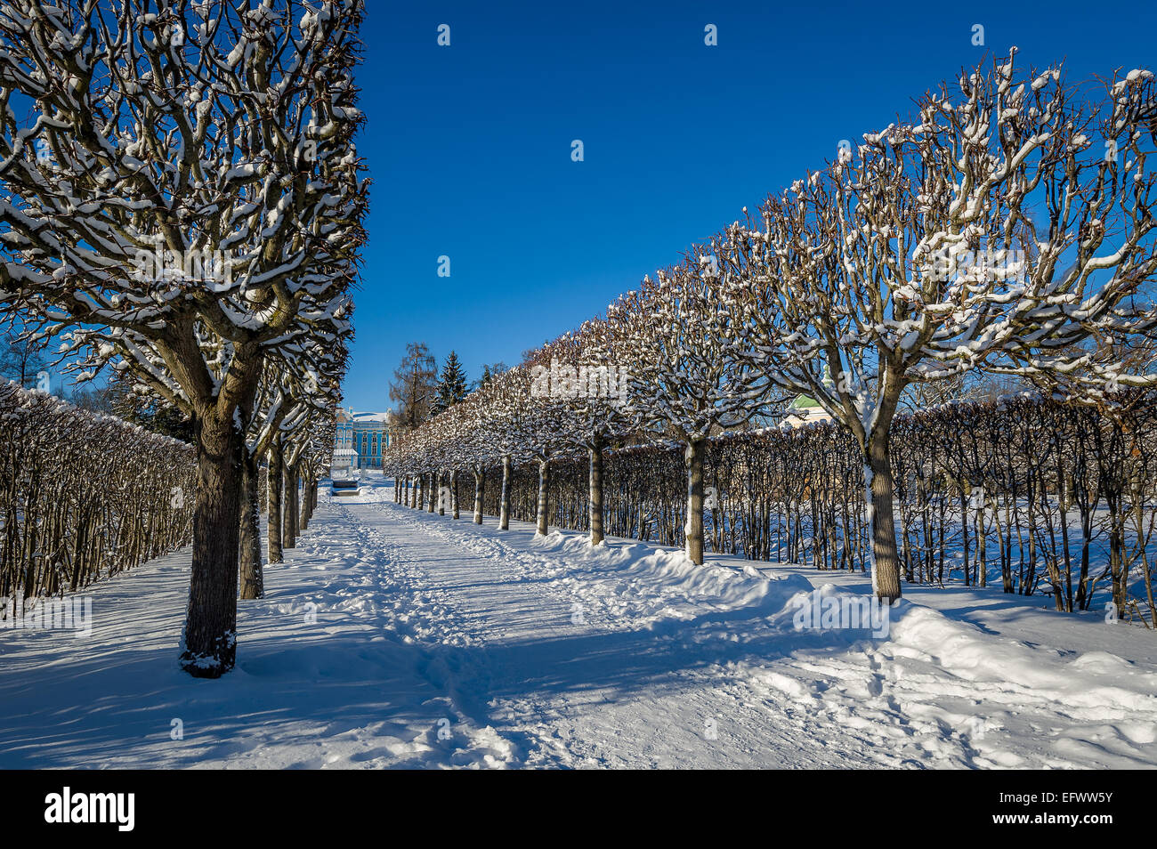 Winter Park-Gasse Stockfoto