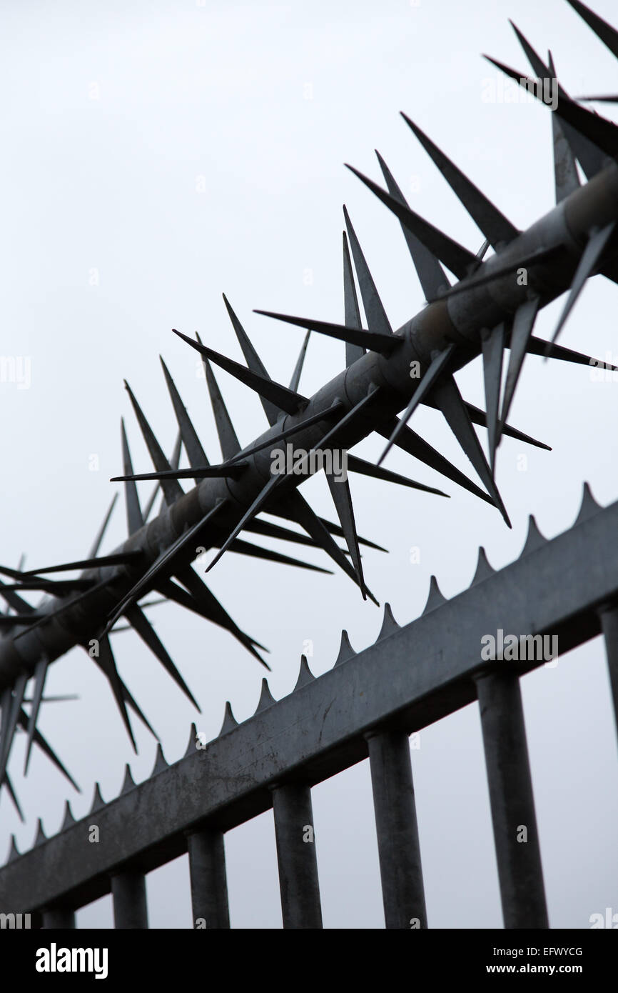 Stahl Stacheln auf Zaun Stockfoto
