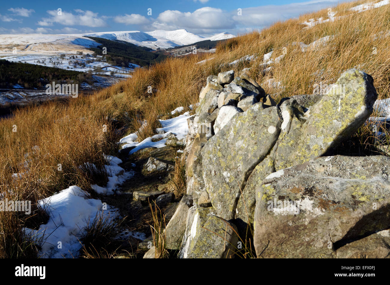 TAF Fechan Stauseen, Brecon Beacons National Park, Powys, Wales, UK. Stockfoto