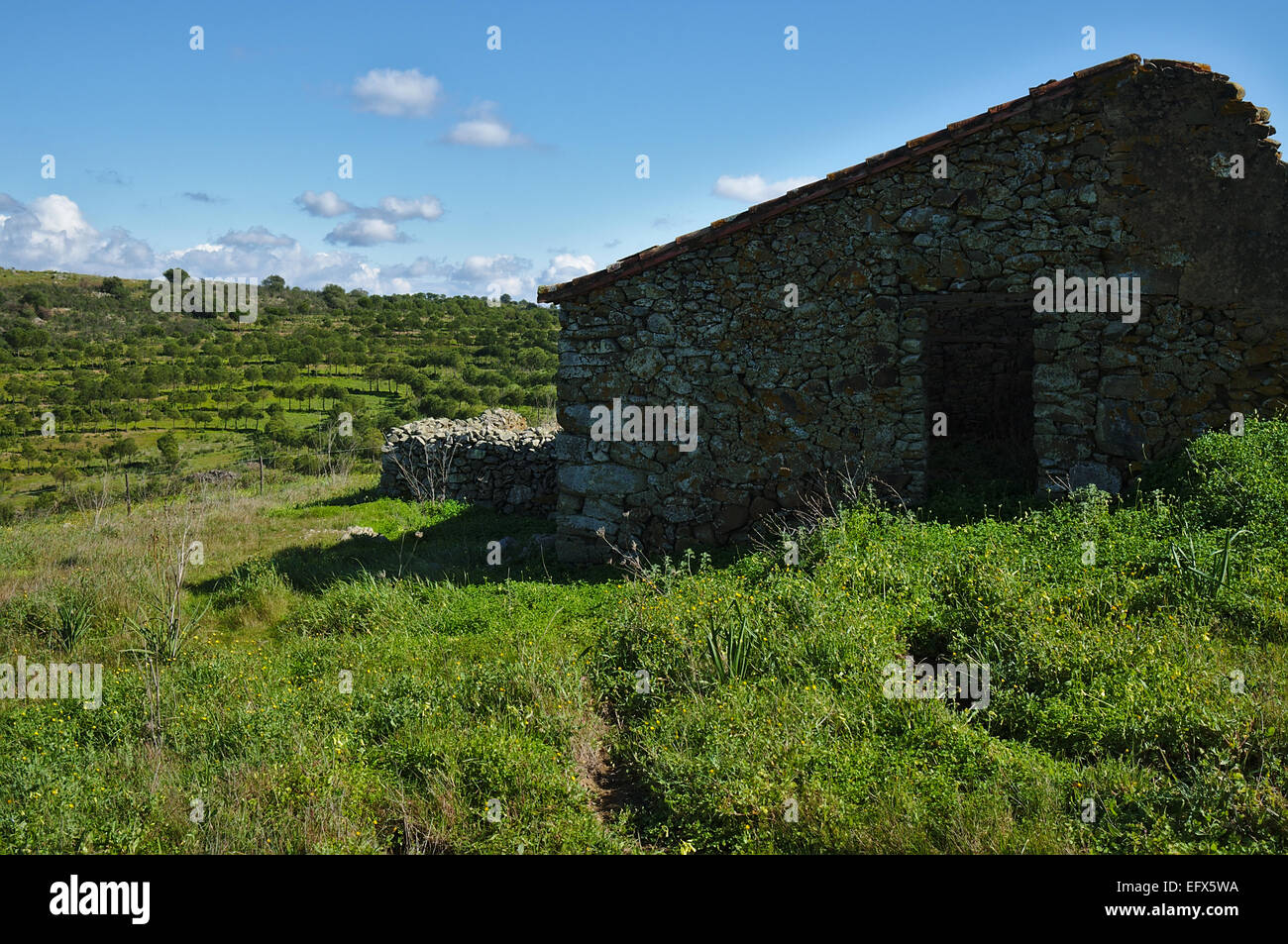 Alten Bauernhof Hütte in Schutt und Asche im Alentejo, Portugal Stockfoto