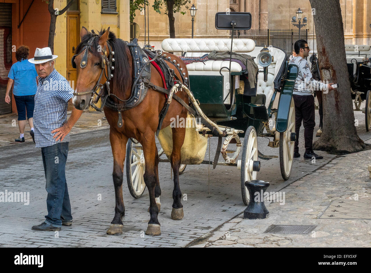 Pferd und Wagen für Mietwagen Palma Mallorca Spanien Stockfoto