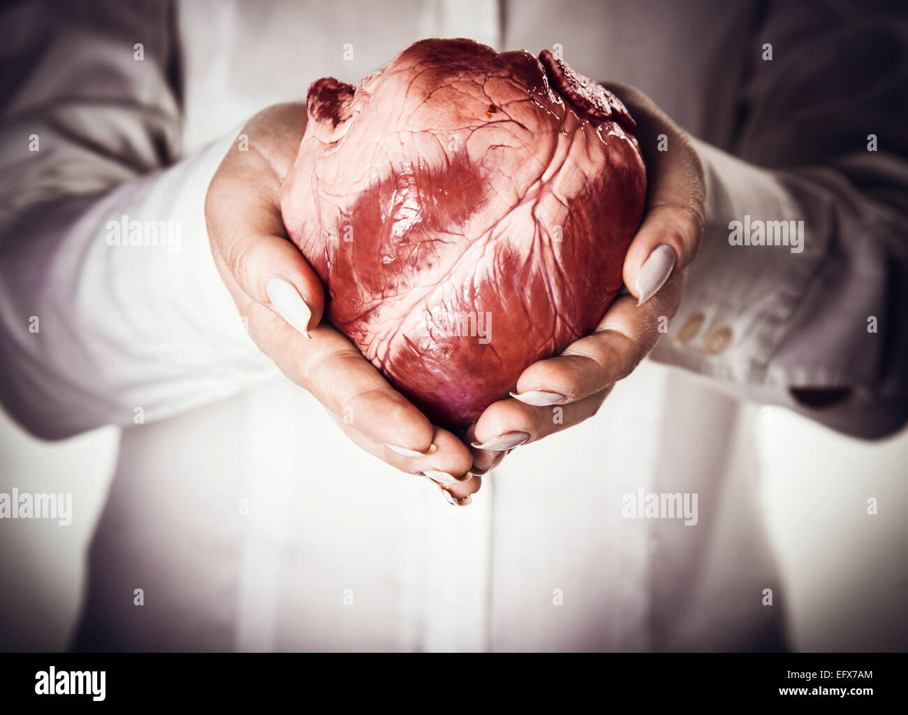 Herz in Händen, abstrakte kreative Hintergrund Stockfoto