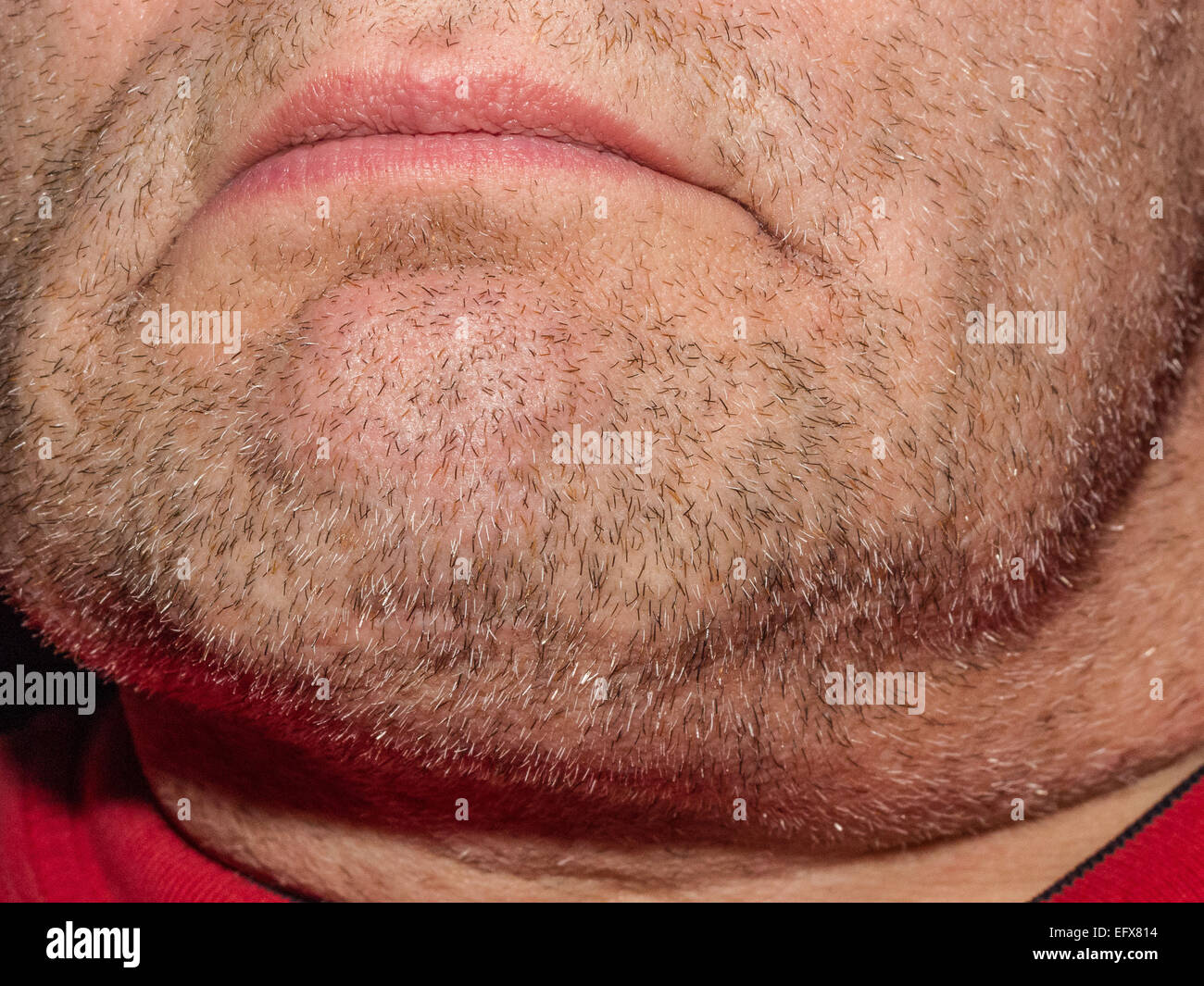 Makro Nahaufnahme ein stark bartstoppeligen männliche Kinn zeigen Bartwuchs. Modell ist nicht identifizierbar. Nur Kinn und Mund gezeigt. Stockfoto