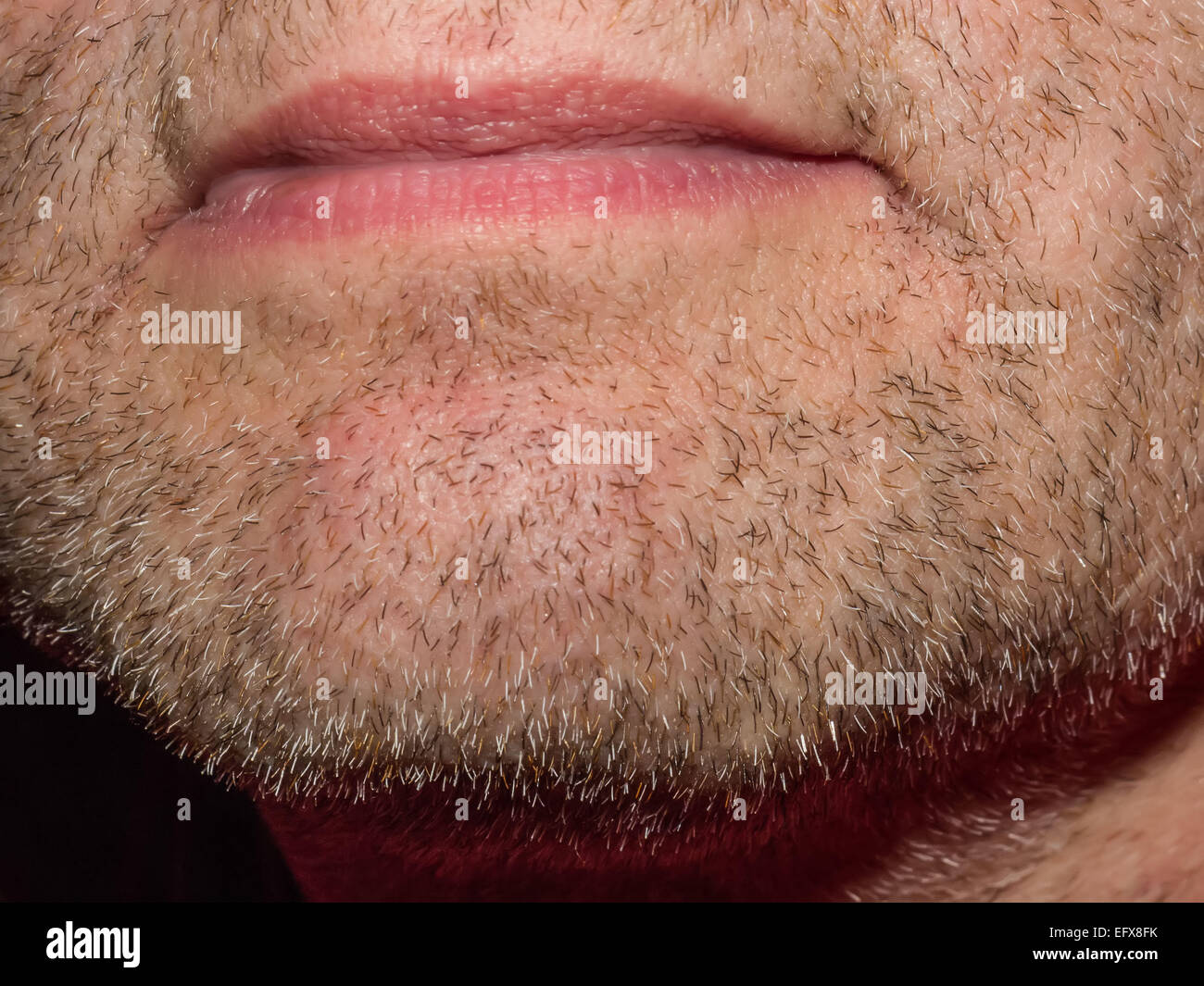 Makro Nahaufnahme ein stark bartstoppeligen männliche Kinn zeigen Bartwuchs. Modell ist nicht identifizierbar. Nur Kinn und Mund gezeigt. Stockfoto