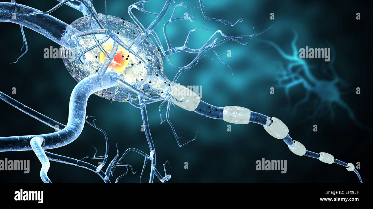 Nervenzellen, Konzept für neurologische Erkrankungen, Tumoren und Gehirn-Chirurgie. Stockfoto