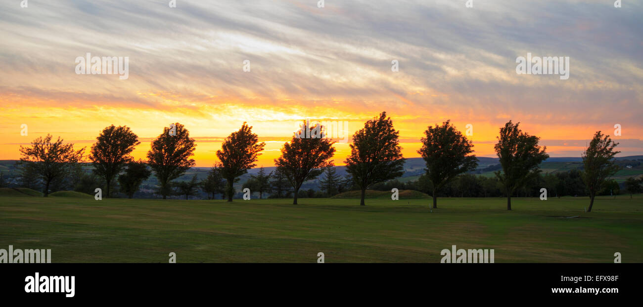 Zeile der Baum auf einem Golfplatz goldenen Sonnenuntergang Stockfoto