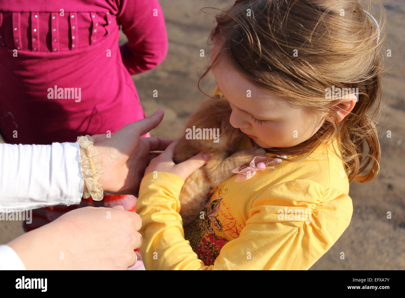 Bild von kleinen Mädchen mit kleinen roten Kätzchen Stockfoto