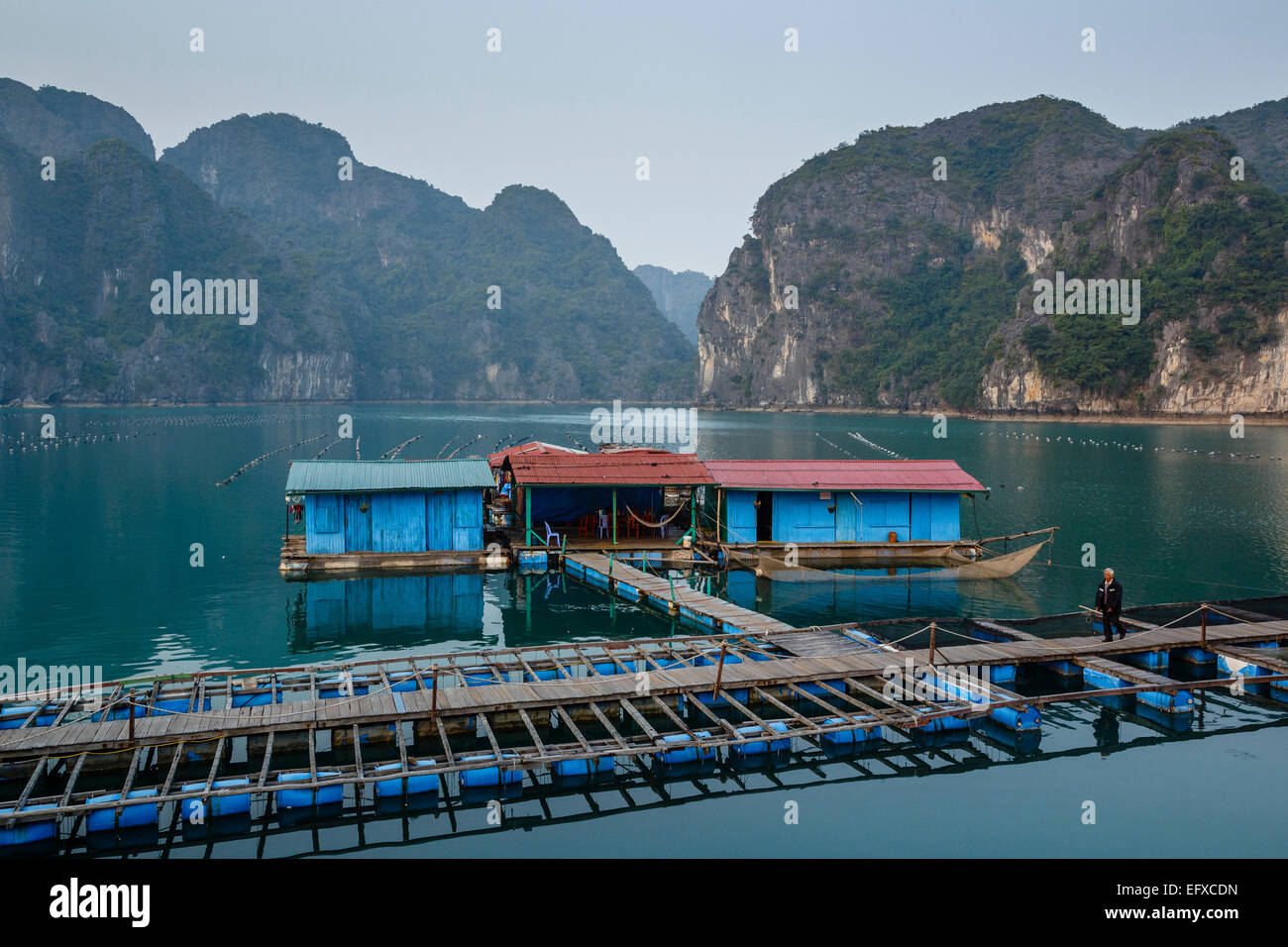 Austernfarm, Halong Bucht, Vietnam Stockfoto