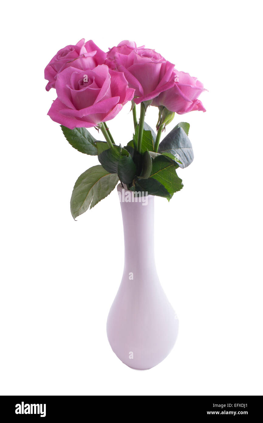 Rosa Rosen auf einem weißen Hintergrund isoliert Stockfoto