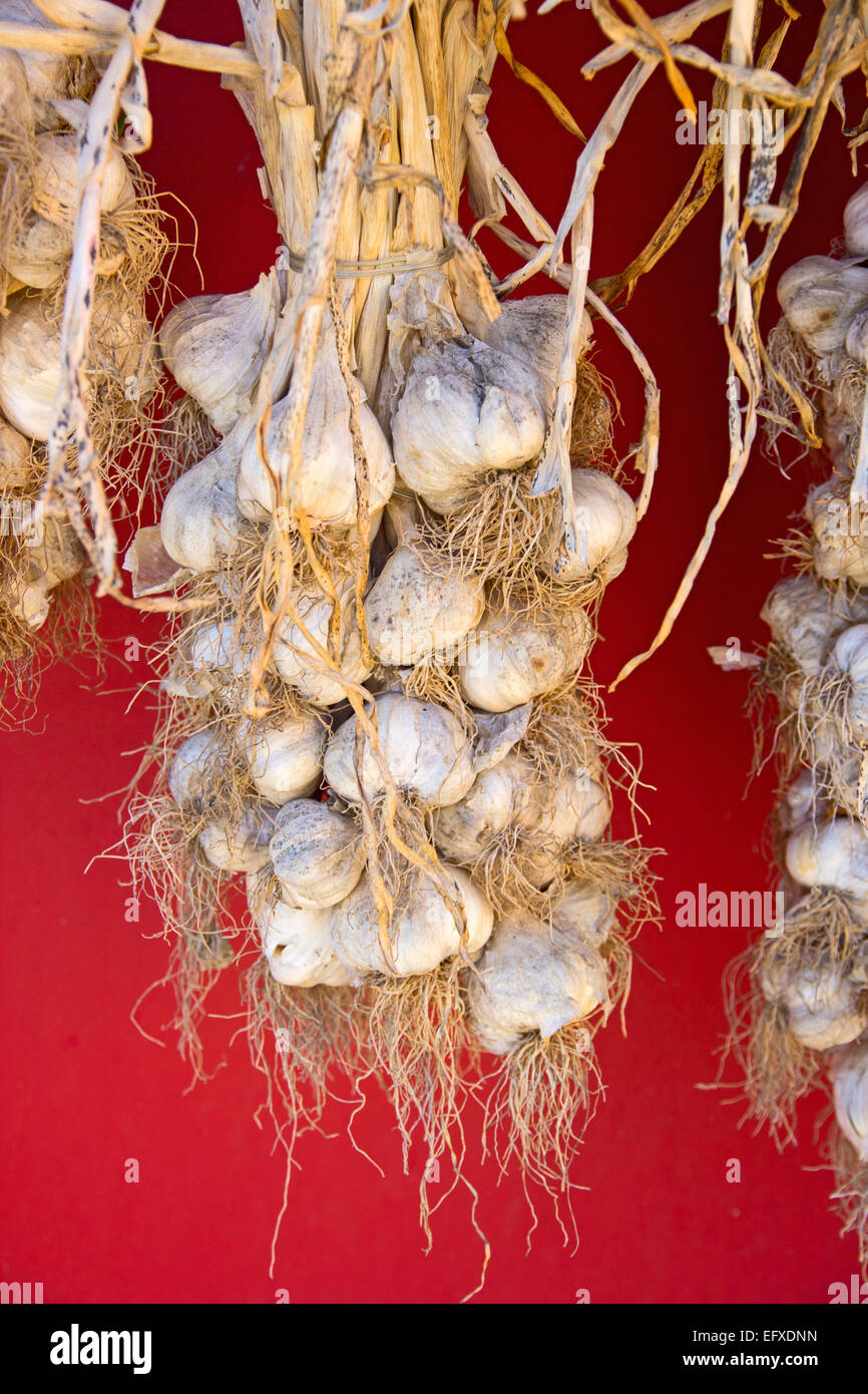 Seile von Knoblauch Zwiebeln zum Trocknen in die Sonne gehängt. Stockfoto