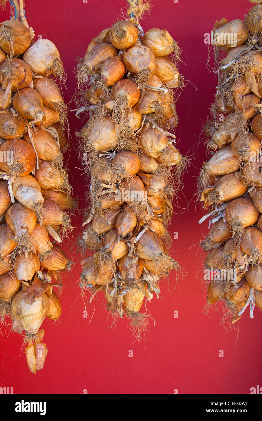 Seile der Schalotten zum Trocknen in die Sonne gehängt. Stockfoto