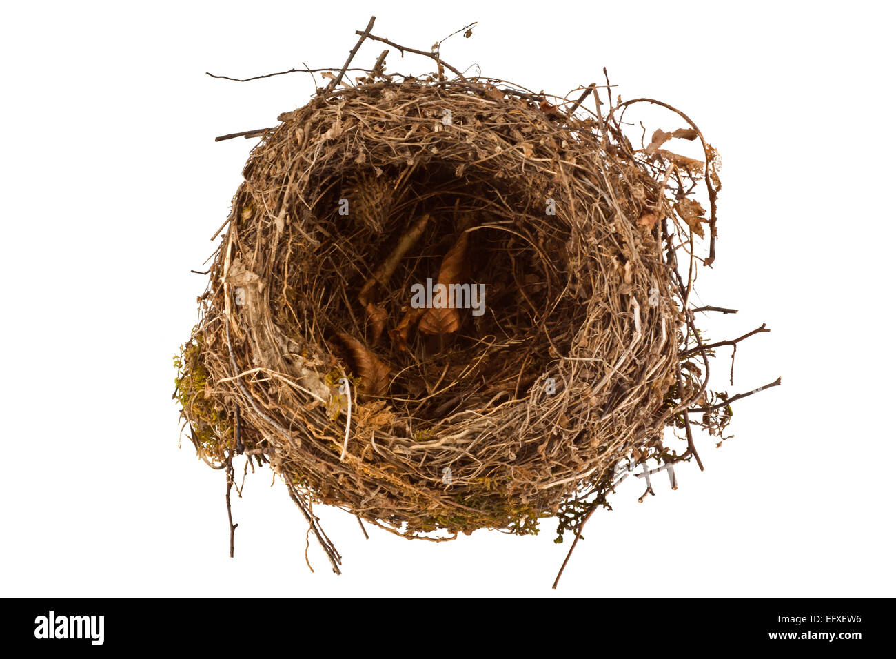 Leere Vogel nest isolierten auf weißen Hintergrund Stockfoto