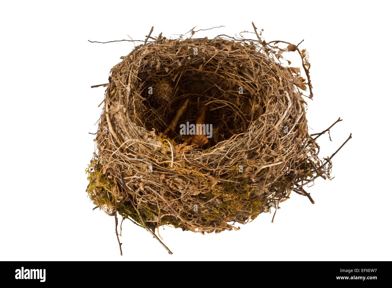 Leere Vogel nest isolierten auf weißen Hintergrund Stockfoto