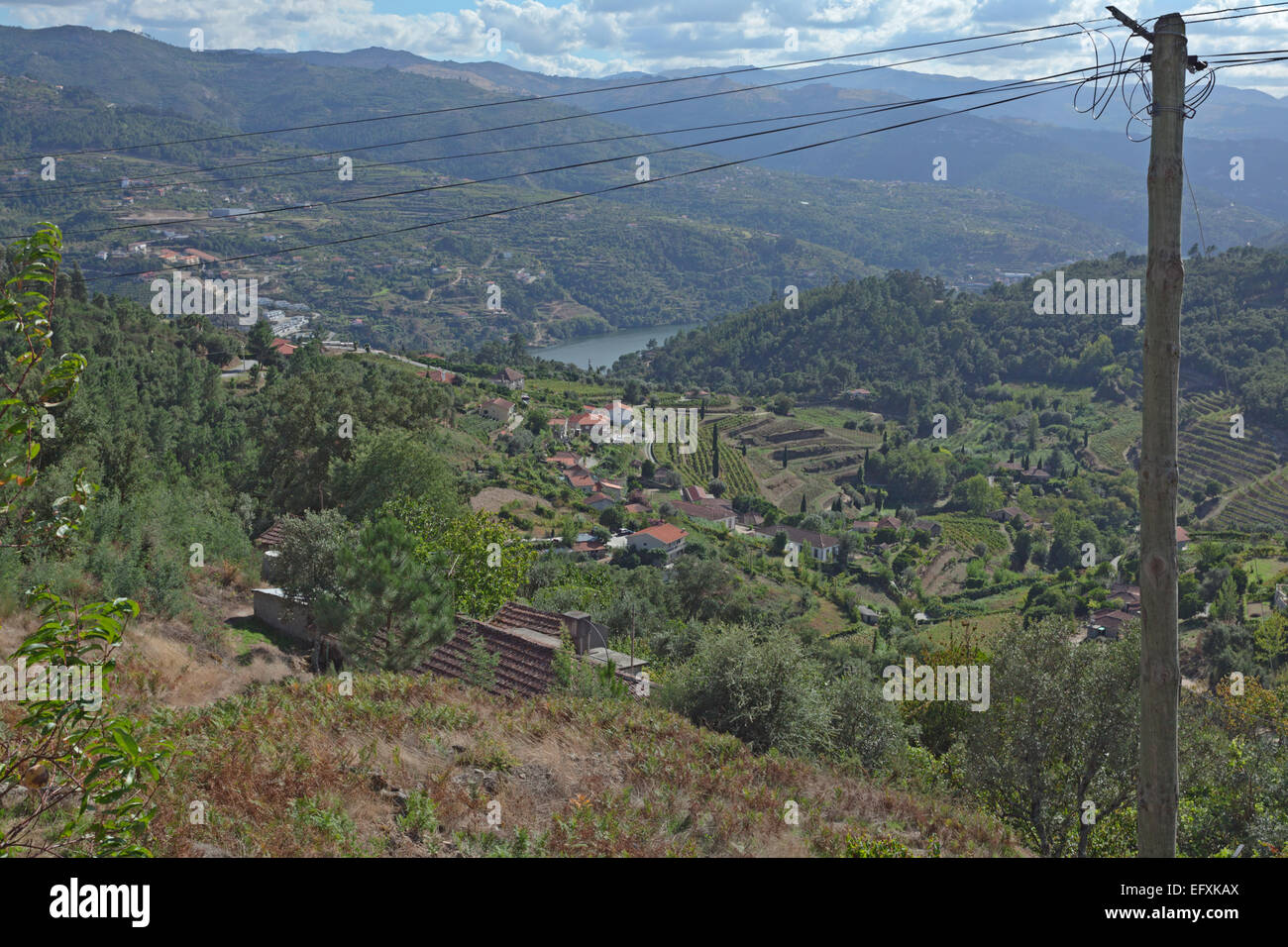 Weinbau Landschaft auf terrassenförmig angelegten Boden durch den Fluss Douro, Portugal Stockfoto