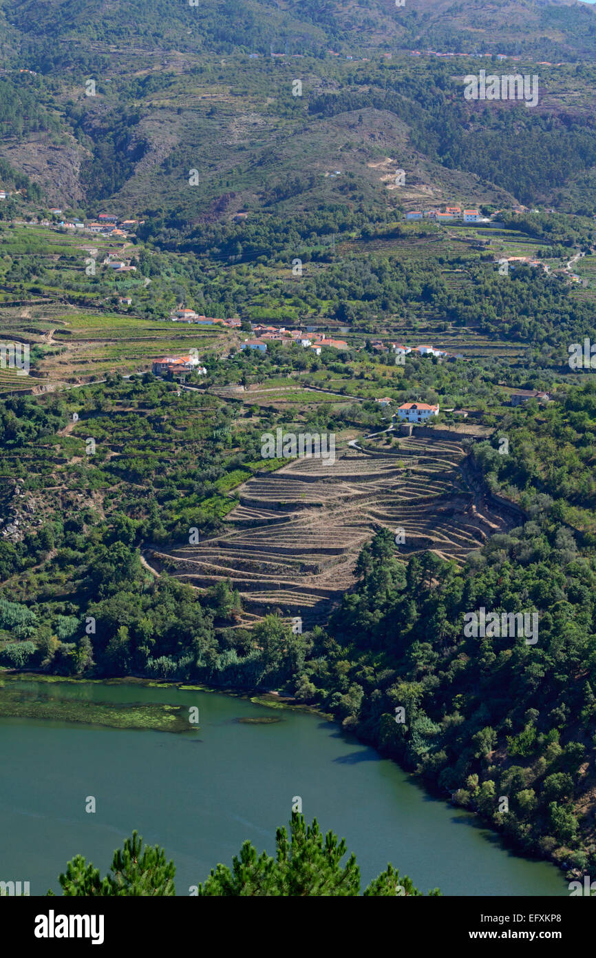 Weinanbaugebiet, terrassenförmig auf dem Fluss Douro. Stockfoto