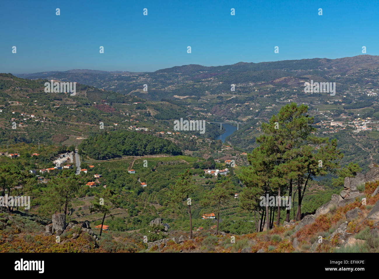 Douro Fluss mit Brücke, Hügellandschaft Stockfoto