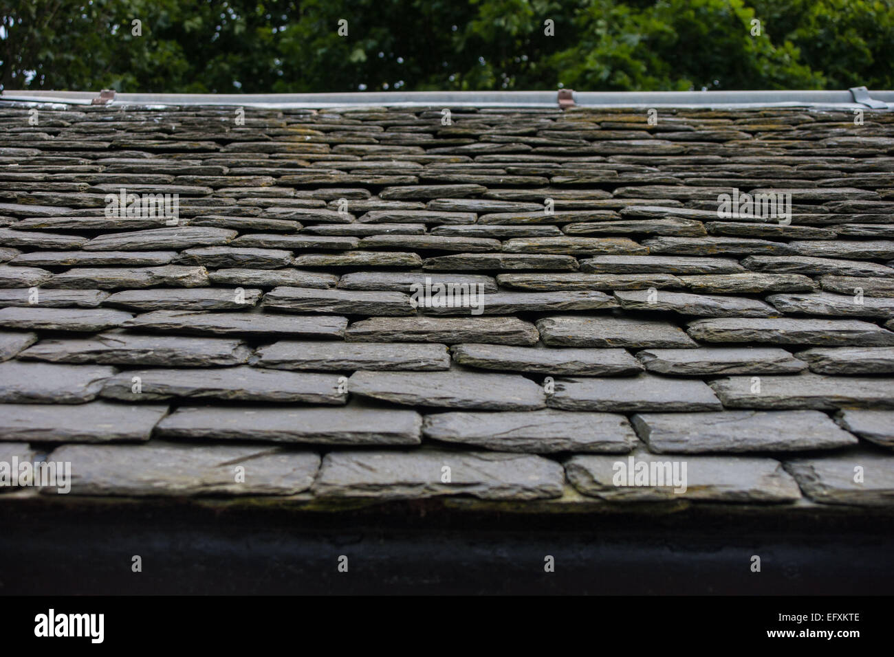 Dachschiefer Stockfoto