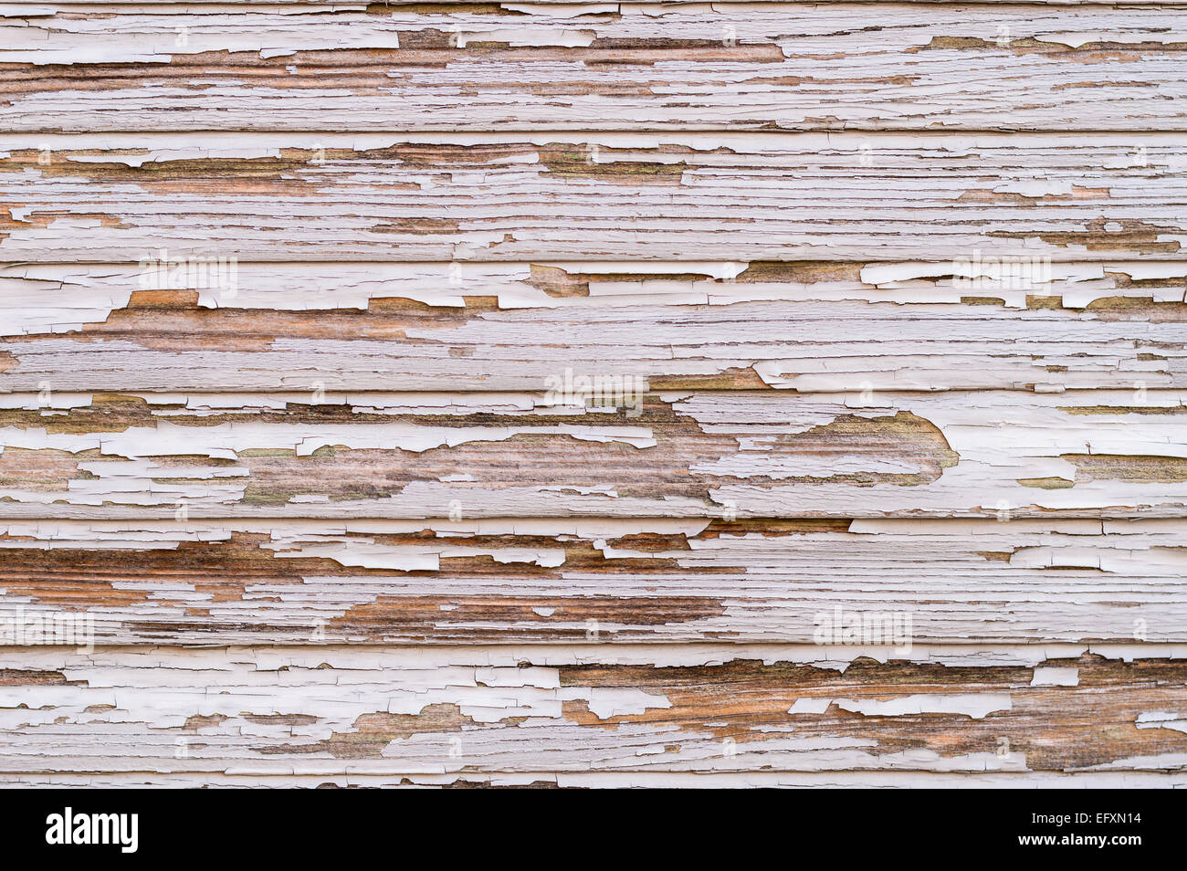 Nahaufnahme von altem Holz mit Farbe, die schält sich Stockfoto
