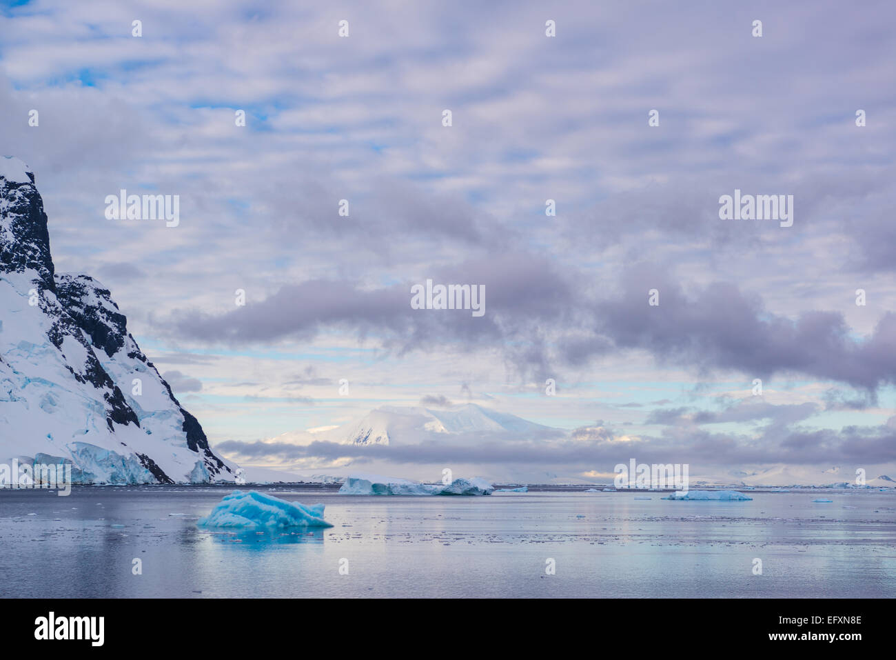 Am frühen Abend in Lemaire-Kanal, Antarktis Stockfoto