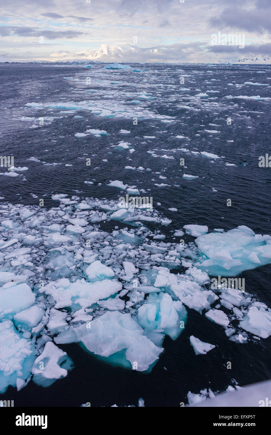 Am frühen Abend in Lemaire-Kanal, Antarktis Stockfoto