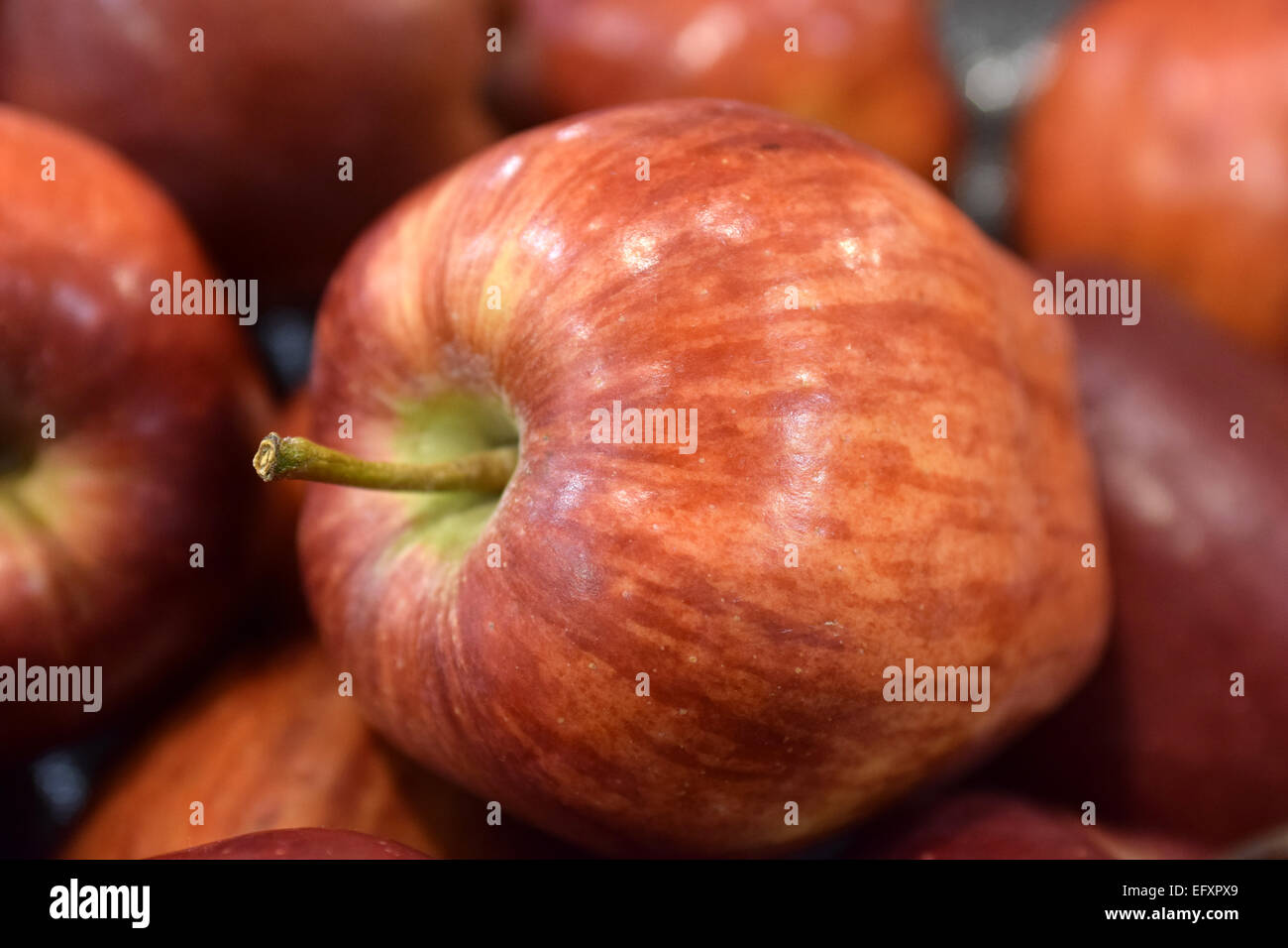 Schöne rote frische Äpfel, Obst, wurden ausgewählt, um fotografiert zu werden Stockfoto