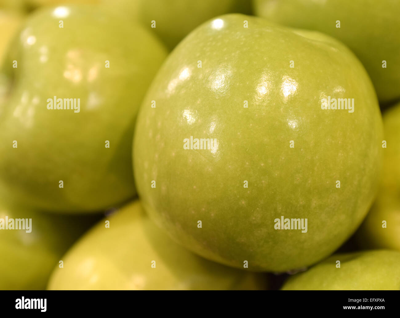 Schöne gelbe frische Äpfel, Obst, wurden ausgewählt, um fotografiert zu werden Stockfoto