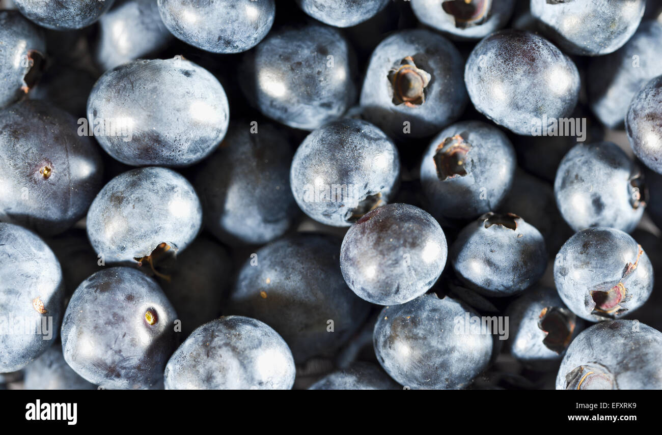 Frischen Bio-blauen Beeren in hohen Reselution. Kann als Hintergrund verwendet werden. Blaubeeren sind blühende Pflanzen der Gattung Vaccinium Stockfoto
