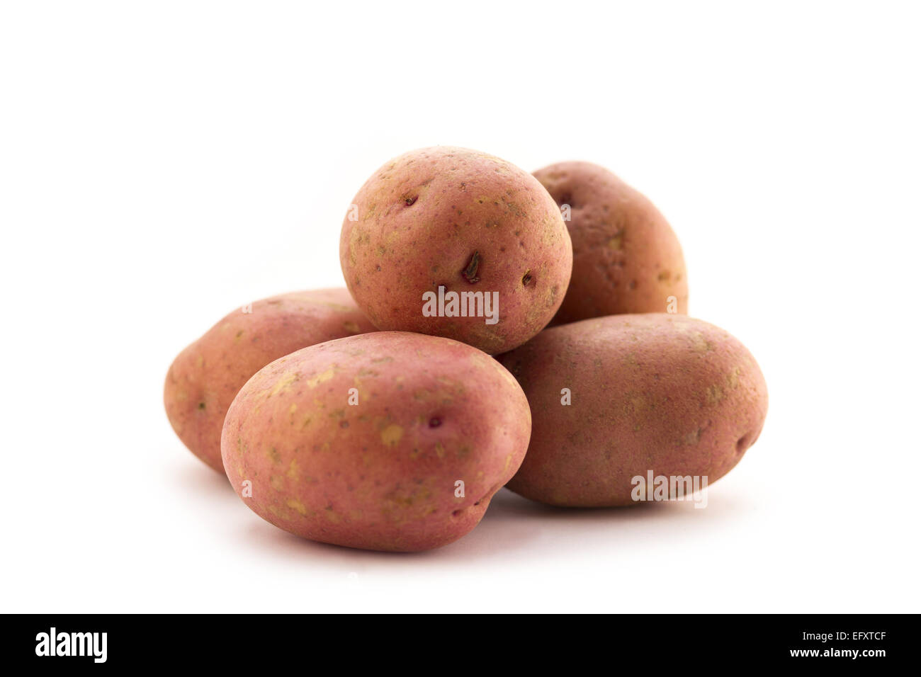 Kartoffeln auf weißem Hintergrund. Stockfoto