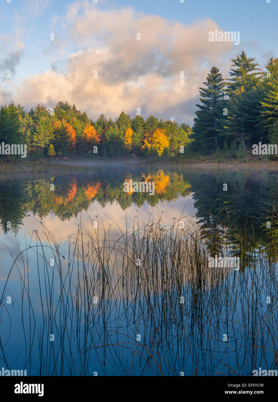 Lake Superior State Forest, Michigan: Dawn Reflexionen über Kingston See mit bunten Herbstwald Stockfoto