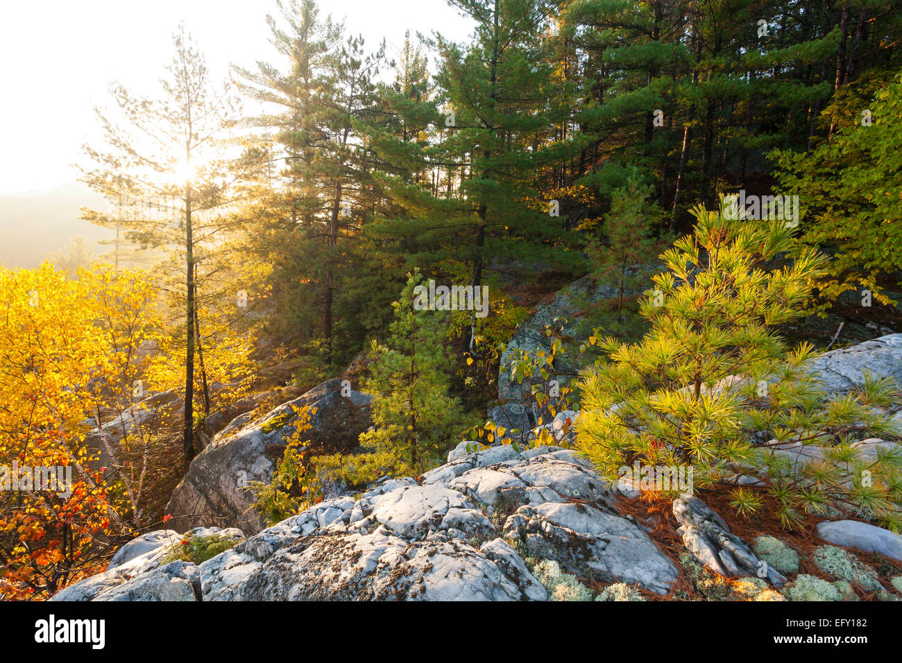 Sonnenaufgang im Killarney Provincial Park. Ontario, Kanada. Stockfoto