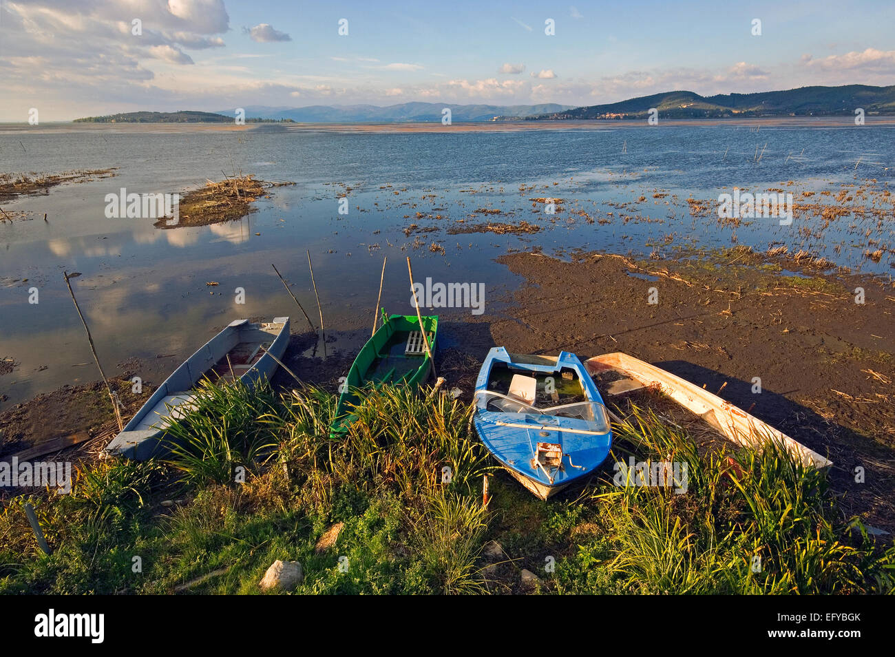 Trasimeno-See, im Hintergrund (links) Isola Polvese, Umbrien, Italien Stockfoto