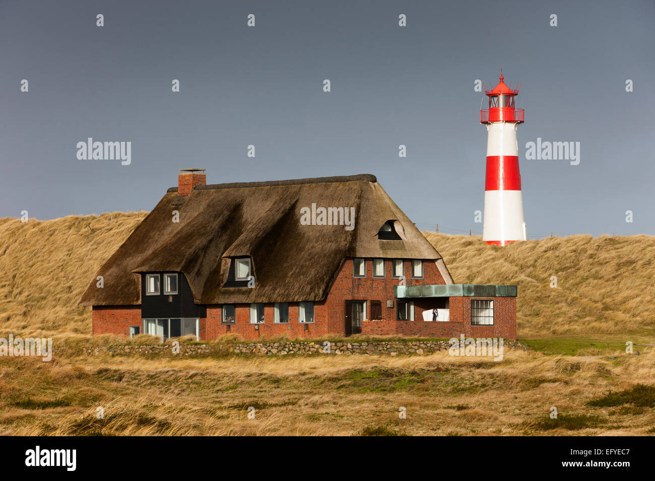 Die roten und weißen Leuchtturm List Ost und einem strohgedeckten Haus auf der Halbinsel Ellenbogen, List, Sylt, Nordfriesland Stockfoto