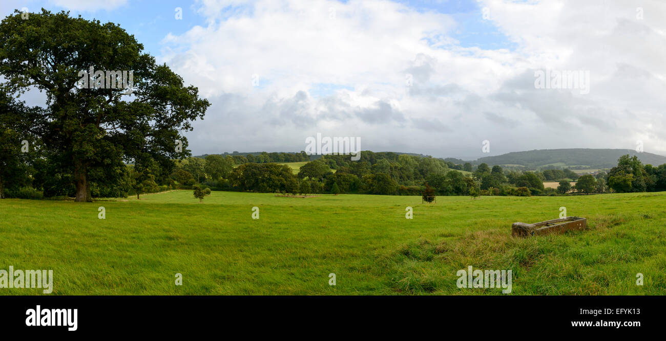 Landschaft mit Wiesen von Dorset Hügellandschaft Stockfoto