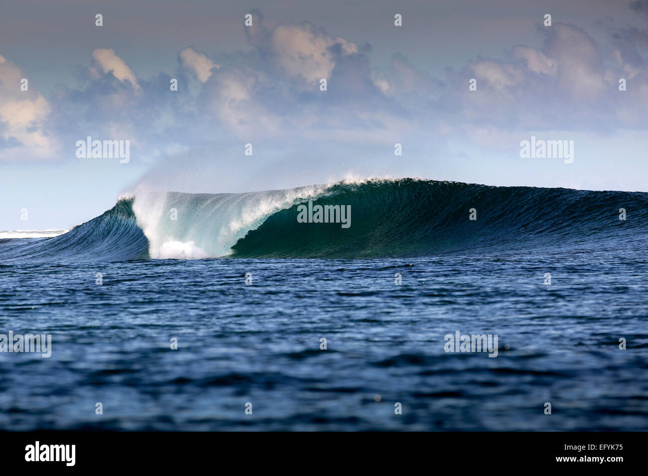 Blue Surf-Welle in Maluku, Indonesien Stockfoto
