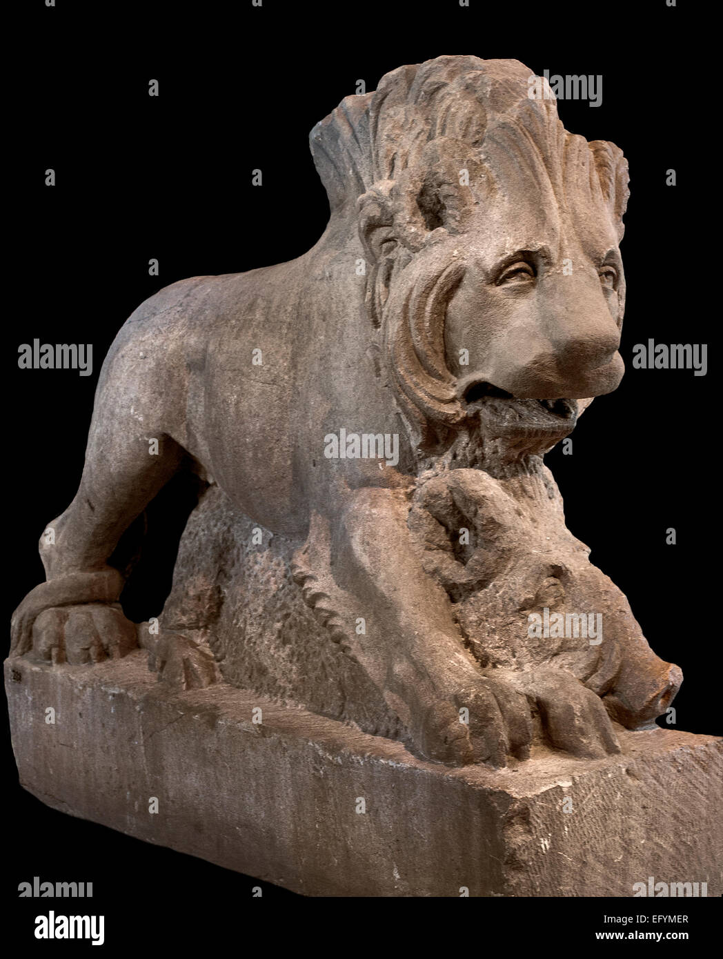 Ein Wildschwein, getötet von einem Löwen, 2. C. AD römischen germanischen Museum Köln Stockfoto