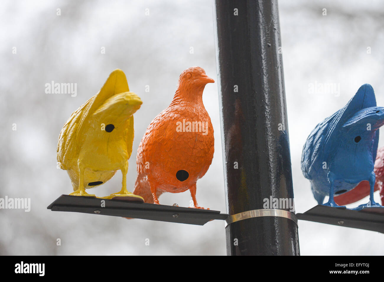 Soho Square, London, UK. 12. Februar 2015. Kunst-Installation, kuratiert von der SIM-Smith Gallery, genannt "Herde" von Künstler Patrick Murphy im Londoner Soho. Bildnachweis: Matthew Chattle/Alamy Live-Nachrichten Stockfoto