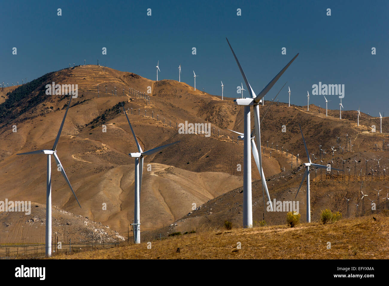 WIND TURBINE KRAFTWERK TEHACHAPI KALIFORNIEN USA Stockfoto