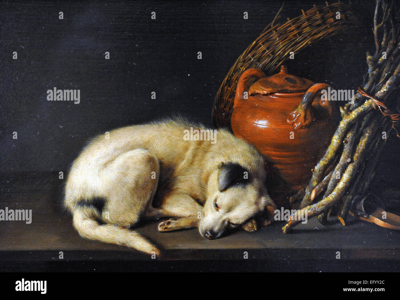 Gerrit Dou Hund in Ruhe Stockfoto