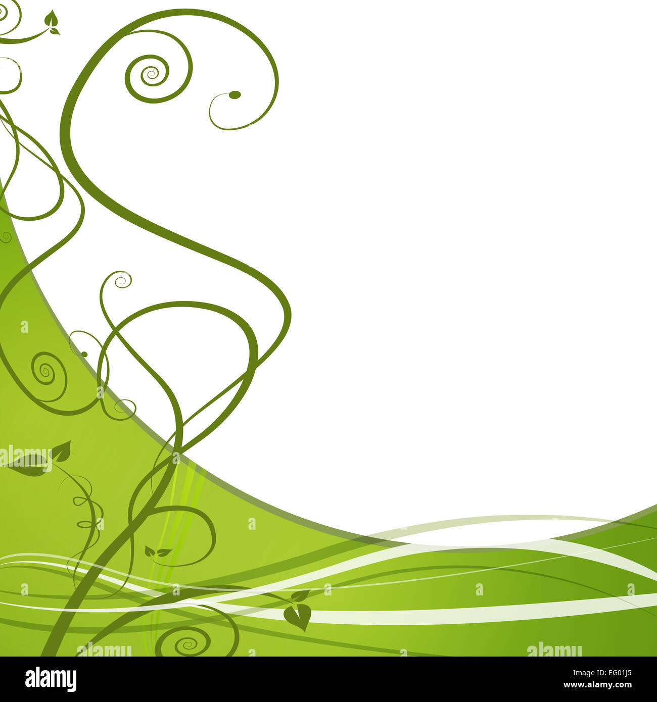 Ein Bild von einem grünen Weinstock Blatt abstrakten Hintergrund. Stockfoto
