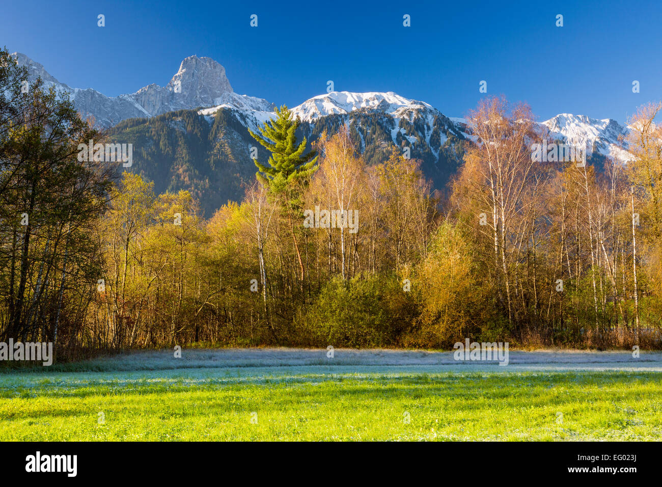 Landschaft vor der Stockhorn-Bergkette, Amsoldingen in der Nähe von Thun, Kanton Bern, Schweiz. Stockfoto